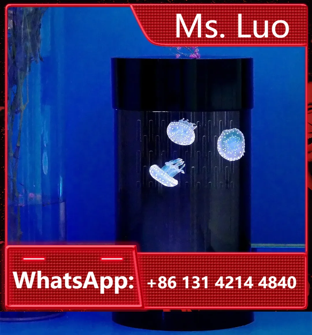 Aquarium Fish Amazon - Akuarium Ubur-ubur Silinder Terbaik Amazon, Tangki