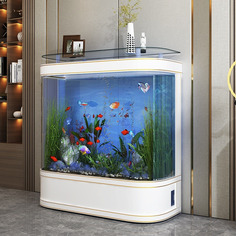 Aquarium Fish Low Maintenance - Akuarium Ikan Ekologis untuk Hewan Peliharaan