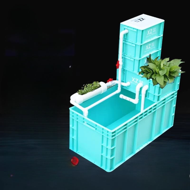 Aquarium Fish Low Maintenance - Akuarium Kura-kura dengan Filter Terintegrasi, Habitat