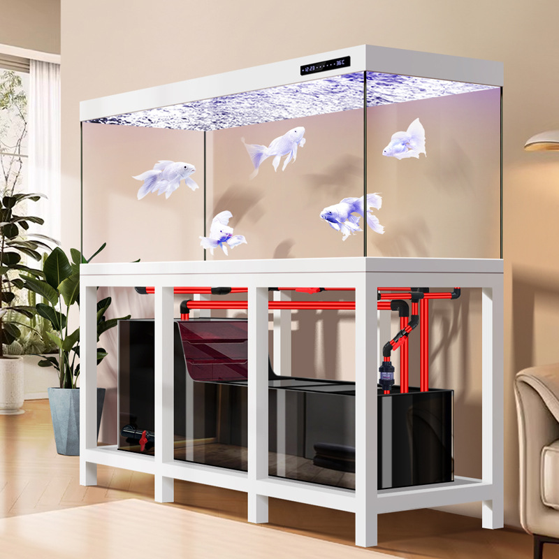 Aquarium Fish Low Maintenance - Akuarium Arowana Industri Besar Tanpa Pipa,