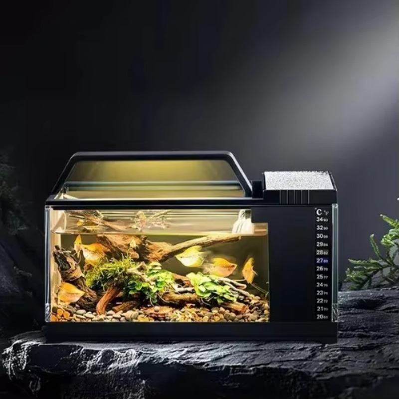 Aquarium Fish Low Maintenance - Akuarium Gaya Amerika Selatan - Tangki