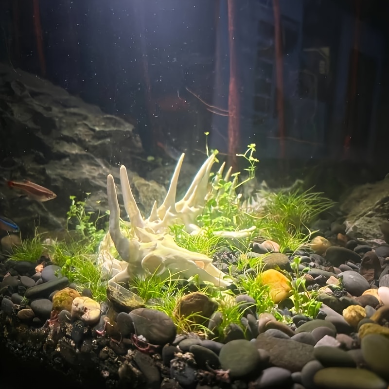 1 Buah Dekorasi Tulang Ikan Be - Aquarium Fish Dragon ulasan dan harga