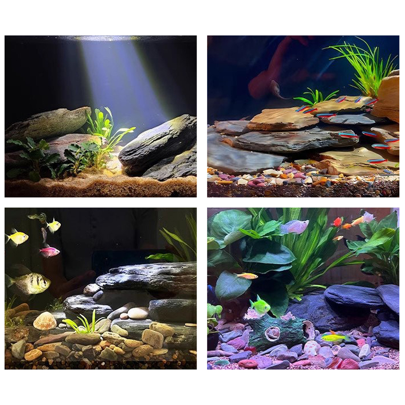 500/1000G Kit Batu Lanskap Tan - Aquarium Fish Saltwater ulasan dan harga