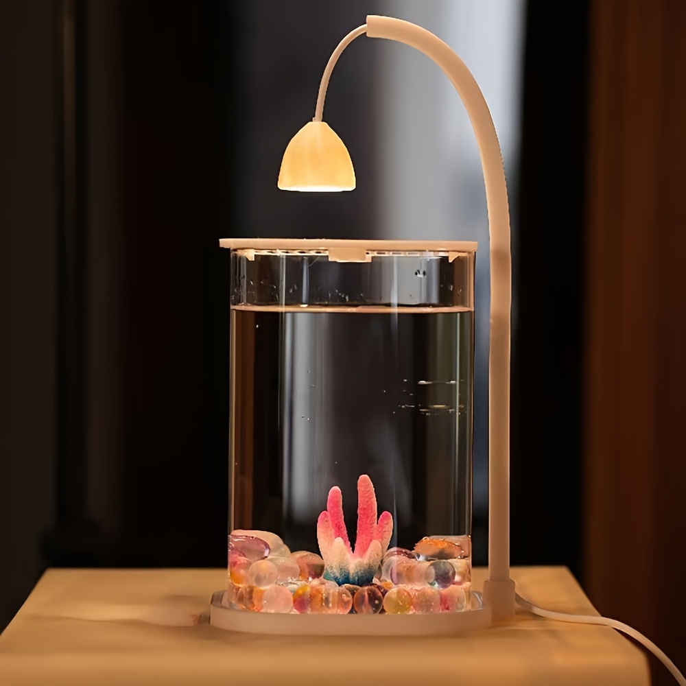 Akuarium Ikan Kecil Tanpa Bing - Aquarium Fish Low Maintenance ulasan dan harga