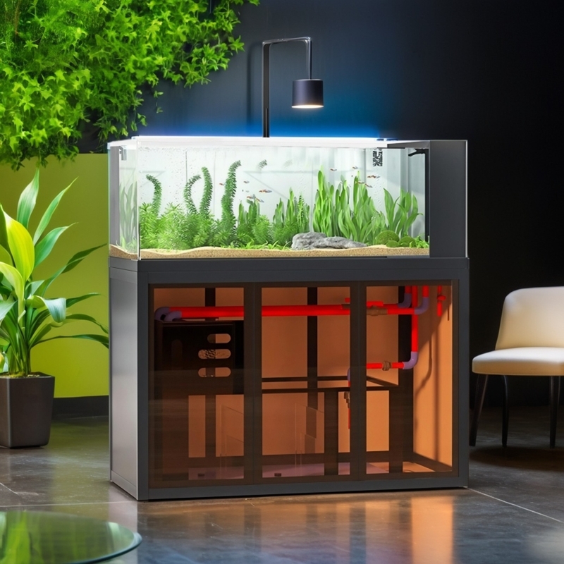 Akuarium gaya industrial, sist - Aquarium Fish Low Maintenance ulasan dan harga