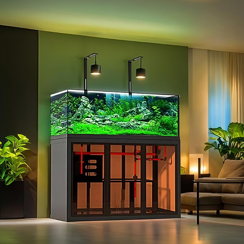 Akuarium gaya industrial, sist - Aquarium Fish Low Maintenance ulasan dan harga