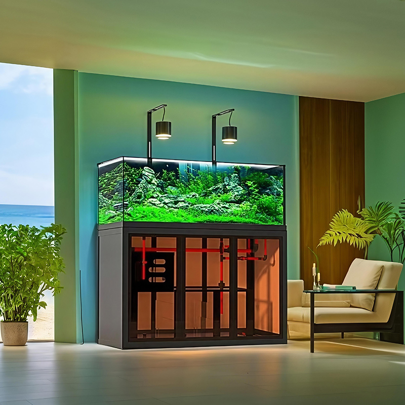 Akuarium gaya industrial, sist - Aquarium Fish Low Maintenance ulasan dan harga