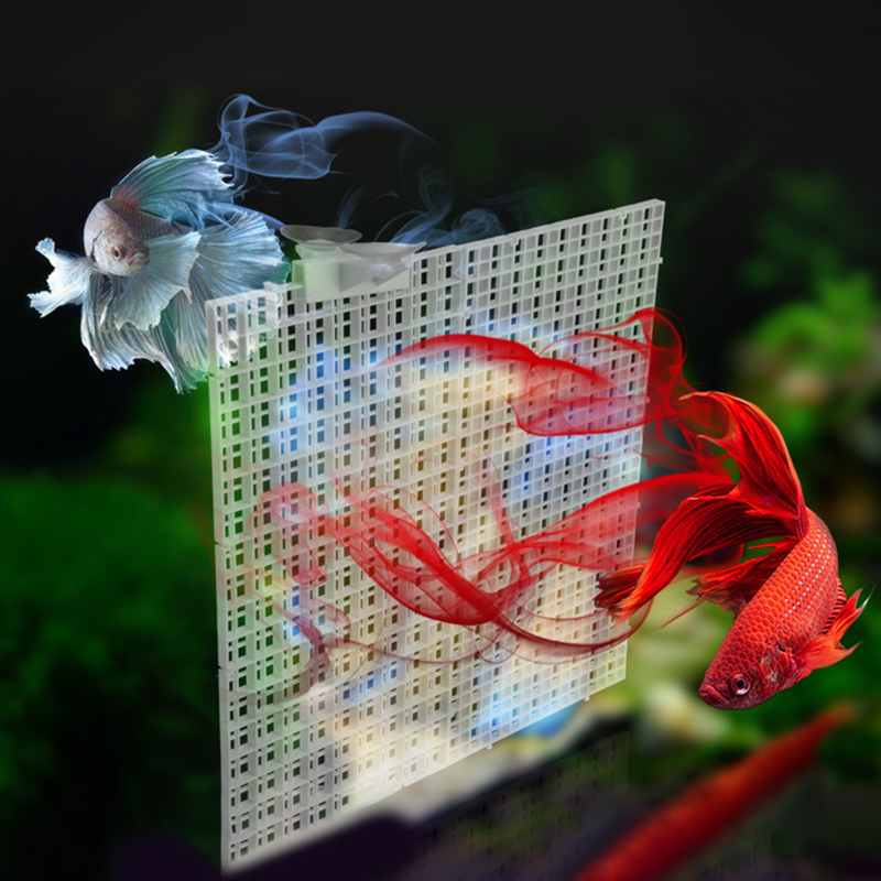 Pelat pembagi kisi 30x15cm 30x - Aquarium Fish Net ulasan dan harga
