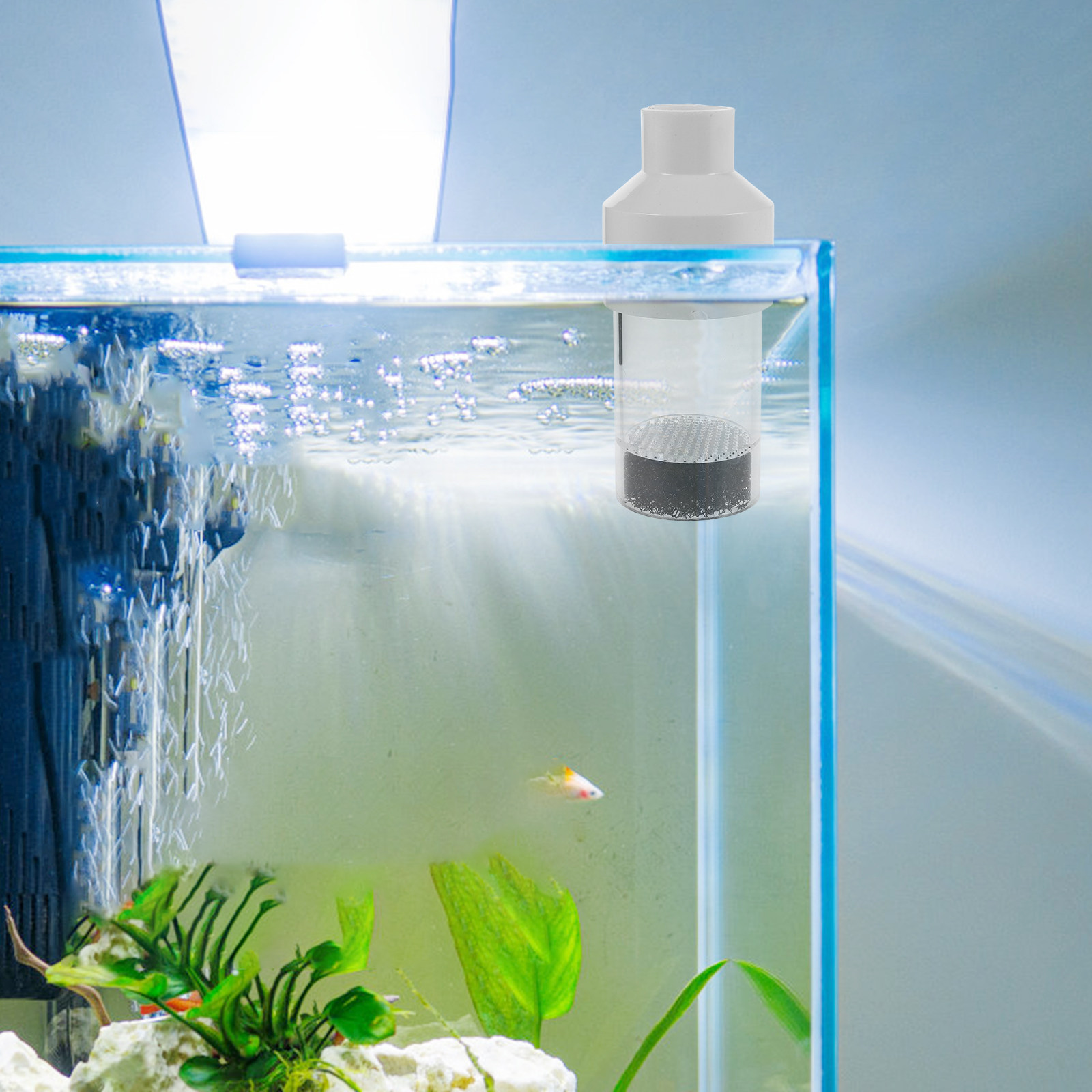 Inkubator Pemijahan Ikan 50mm, - Aquarium Fish Usa ulasan dan harga