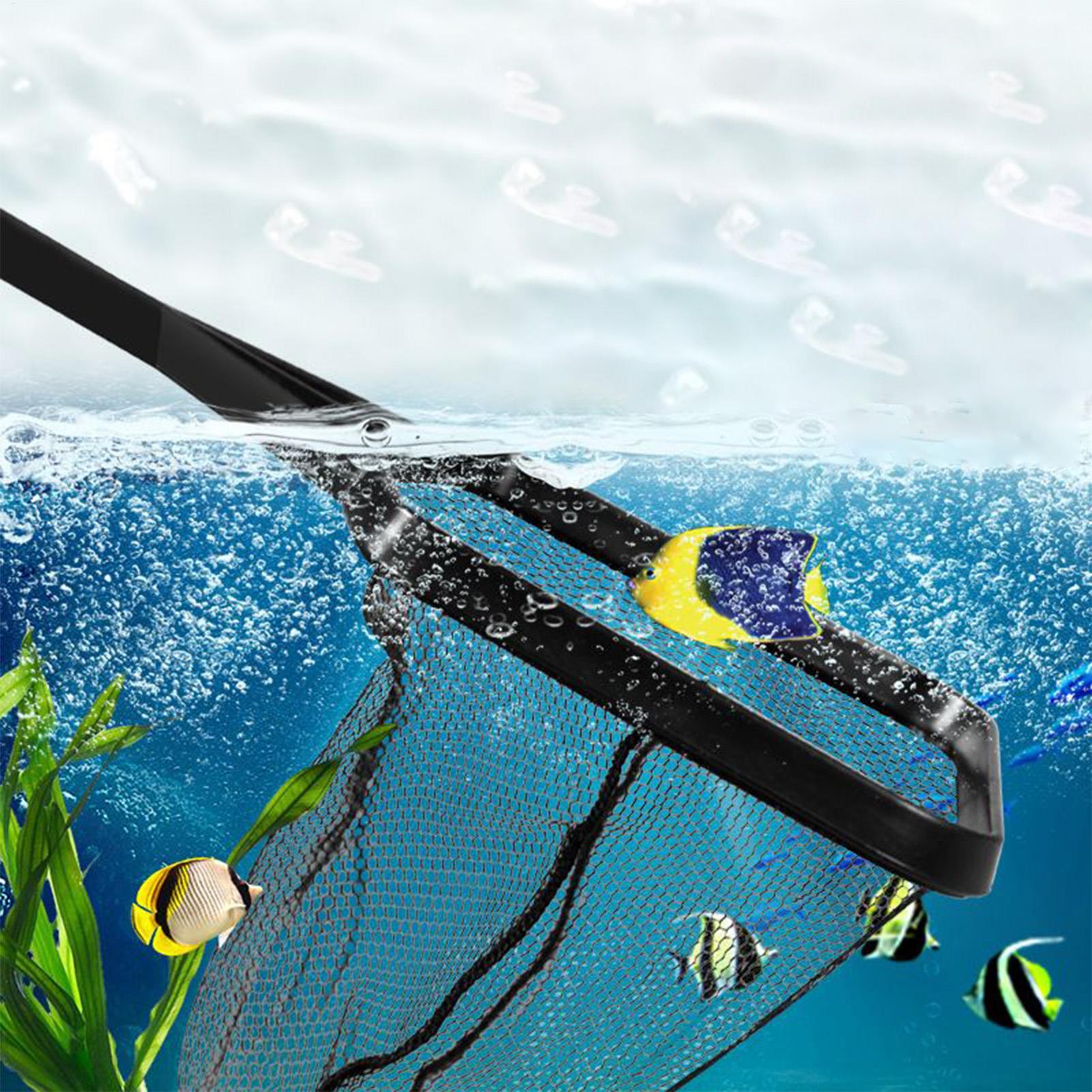 Jaring Kolam Renang Jaring Pen - Aquarium Fish Net ulasan dan harga