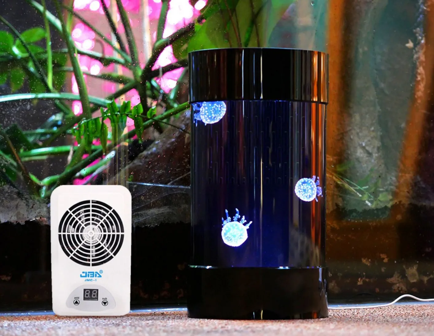 Akuarium Ubur-ubur Silinder Te - Aquarium Fish Amazon ulasan dan harga