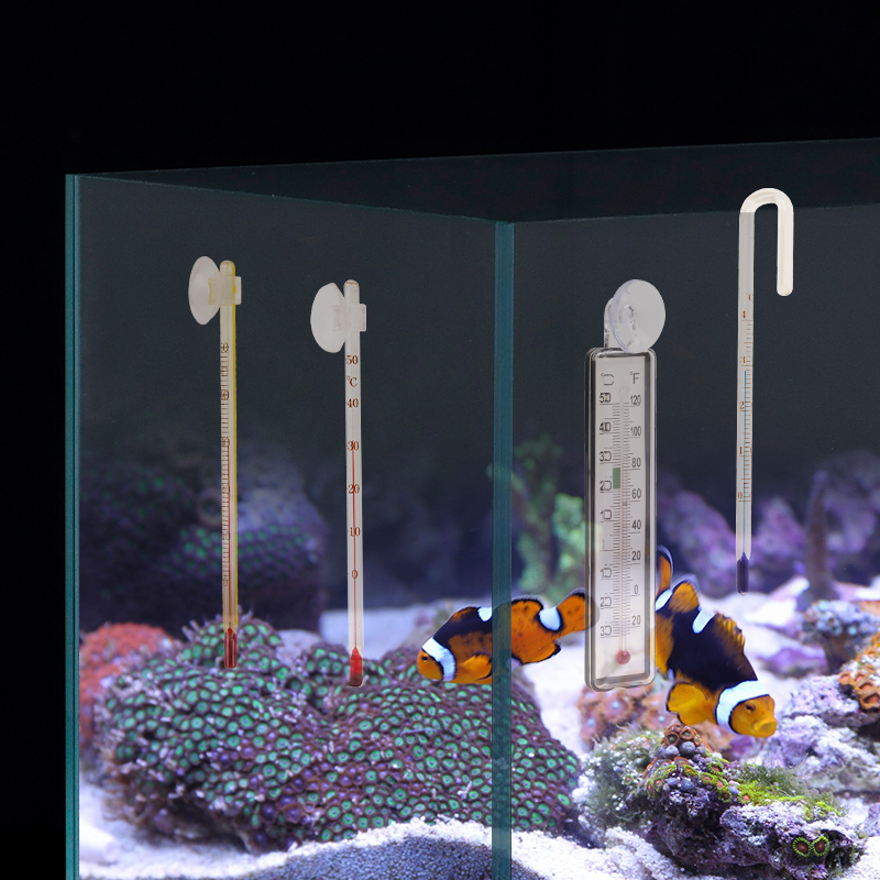 Termometer Digital Akuarium de - Aquarium Thermometer ulasan dan harga