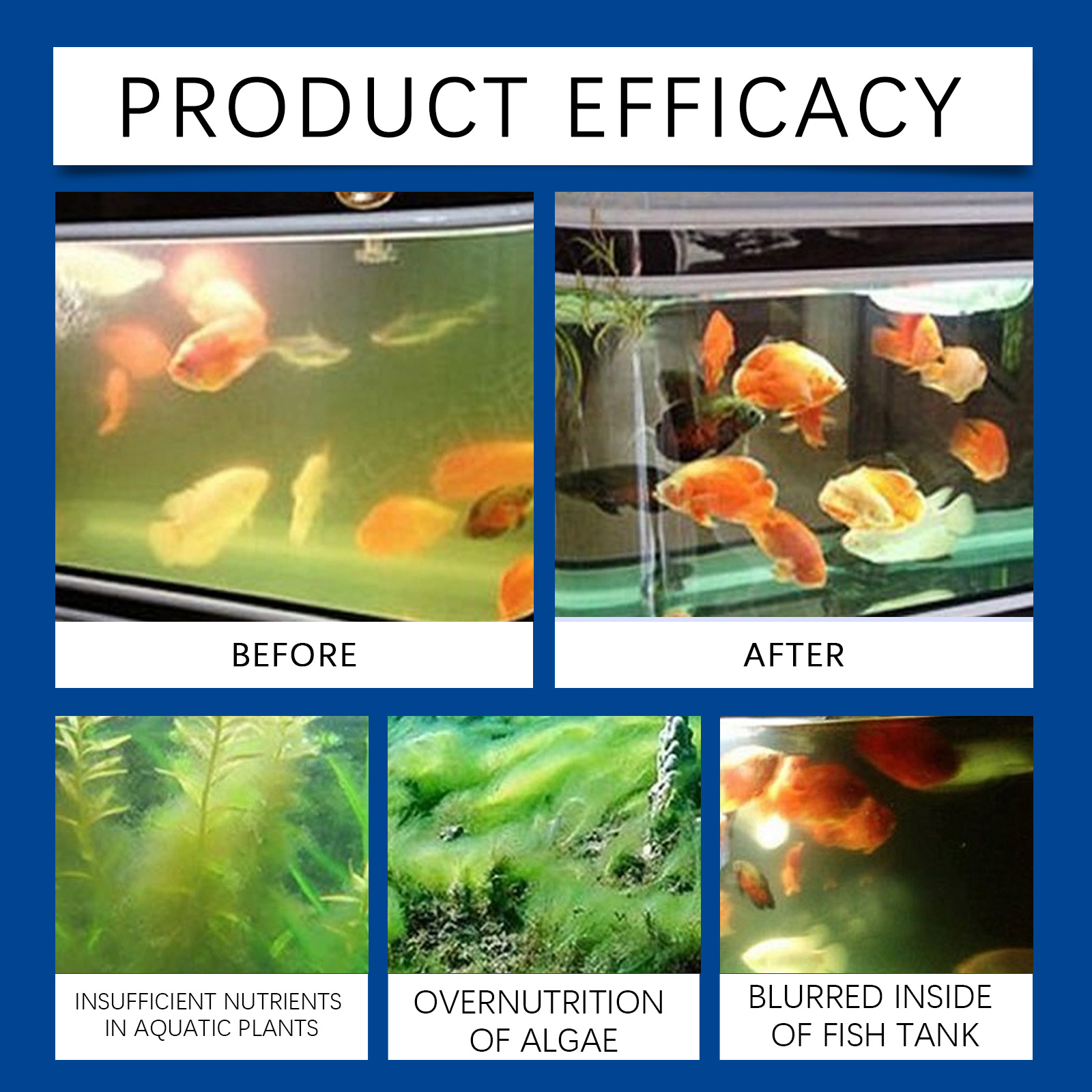 Klarifikasi Air Akuarium 100Ml - Aquarium Fish Care ulasan dan harga