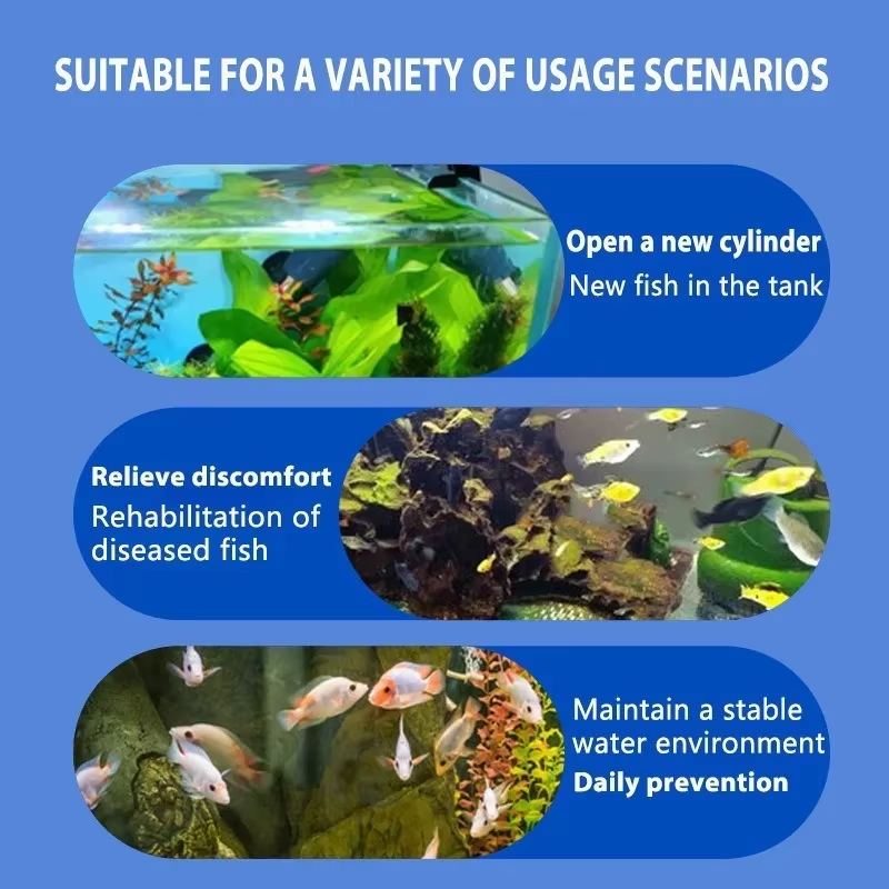 Perawatan Penyakit Ikan SIKEZH - Aquarium Fish Saltwater ulasan dan harga