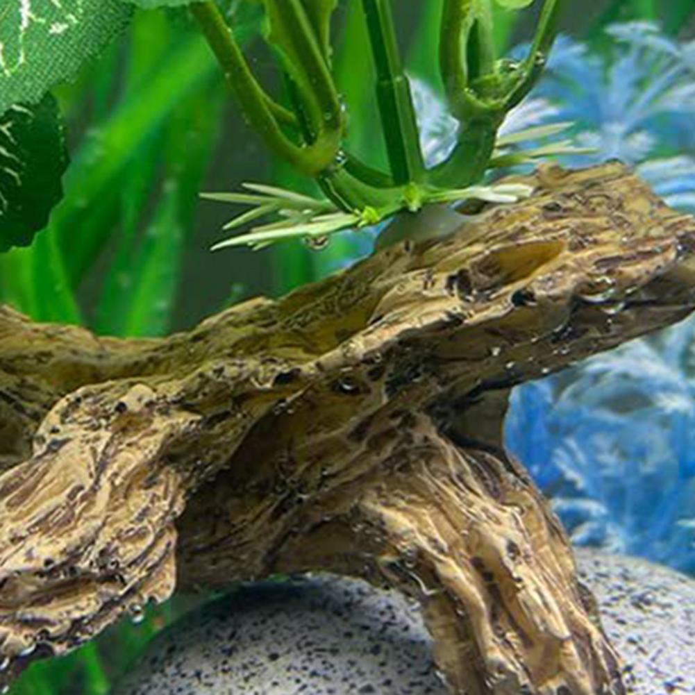 Ornamen Akuarium Ikan yang Mud - Aquarium Fish Low Maintenance ulasan dan harga