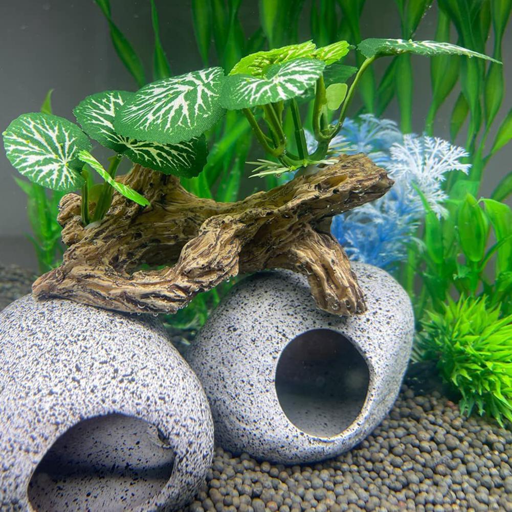 Ornamen Akuarium Ikan yang Mud - Aquarium Fish Low Maintenance ulasan dan harga