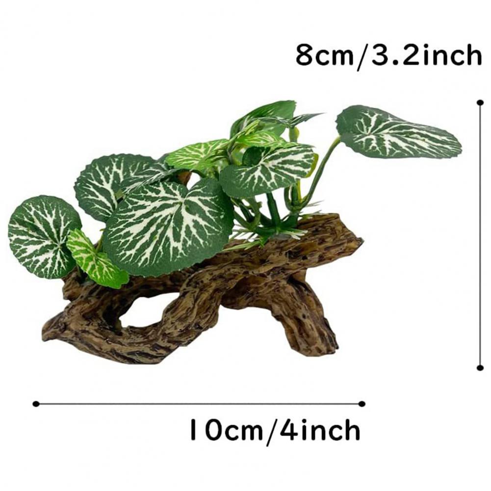 Ornamen Akuarium Ikan yang Mud - Aquarium Fish Low Maintenance ulasan dan harga