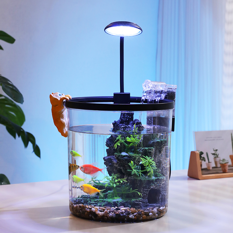 Akuarium Ikan Mas Bundar Kompa - Aquarium Fish Low Maintenance ulasan dan harga
