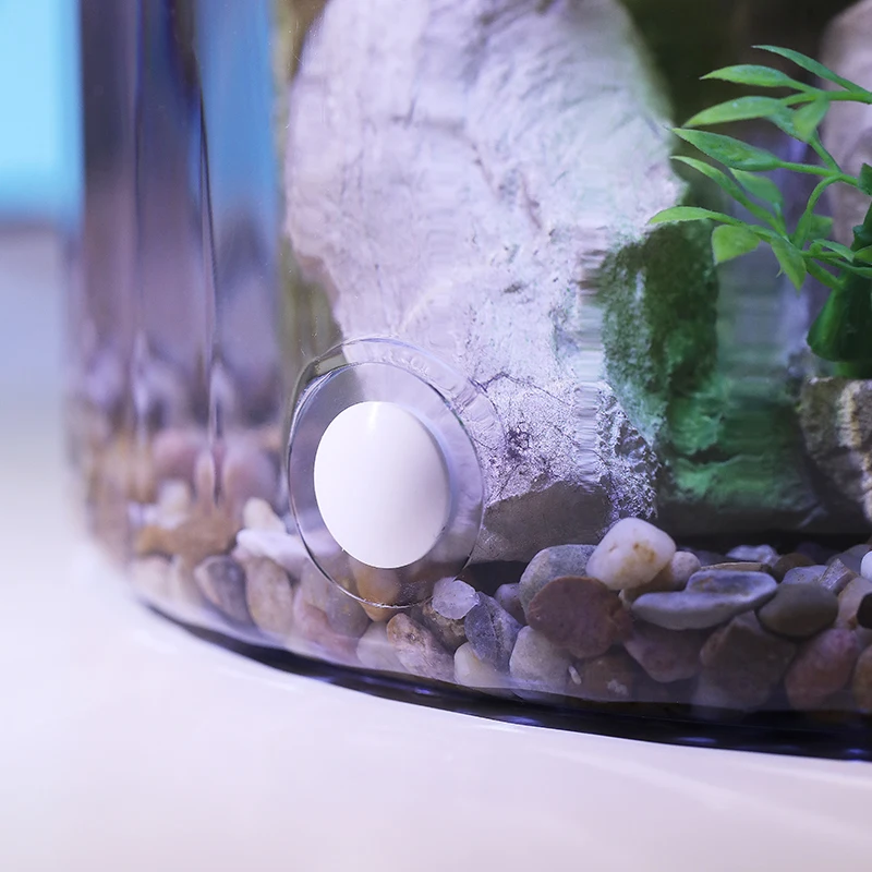Akuarium Ikan Mas Bundar Kompa - Aquarium Fish Low Maintenance ulasan dan harga