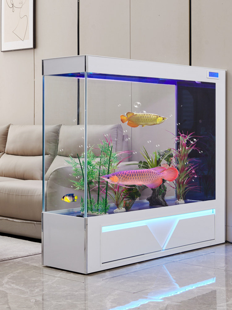 Akuarium Ekologis Berdiri Lant - Aquarium Fish Low Maintenance ulasan dan harga