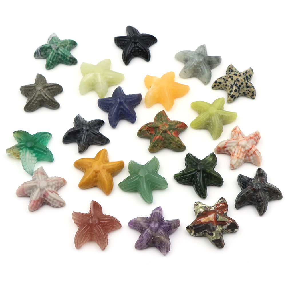 Patung Bentuk Bintang Laut 35M - Aquarium Fish Usa ulasan dan harga