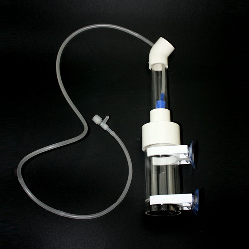 Inkubator Penetasan Ikan Cichl - Aquarium Fish Usa ulasan dan harga