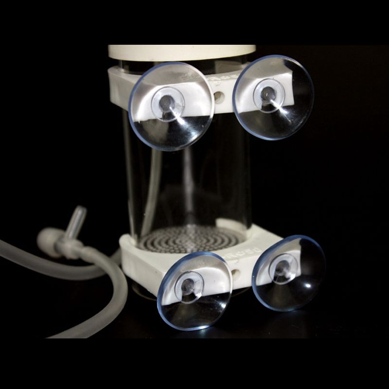 Inkubator Penetasan Ikan Cichl - Aquarium Fish Usa ulasan dan harga