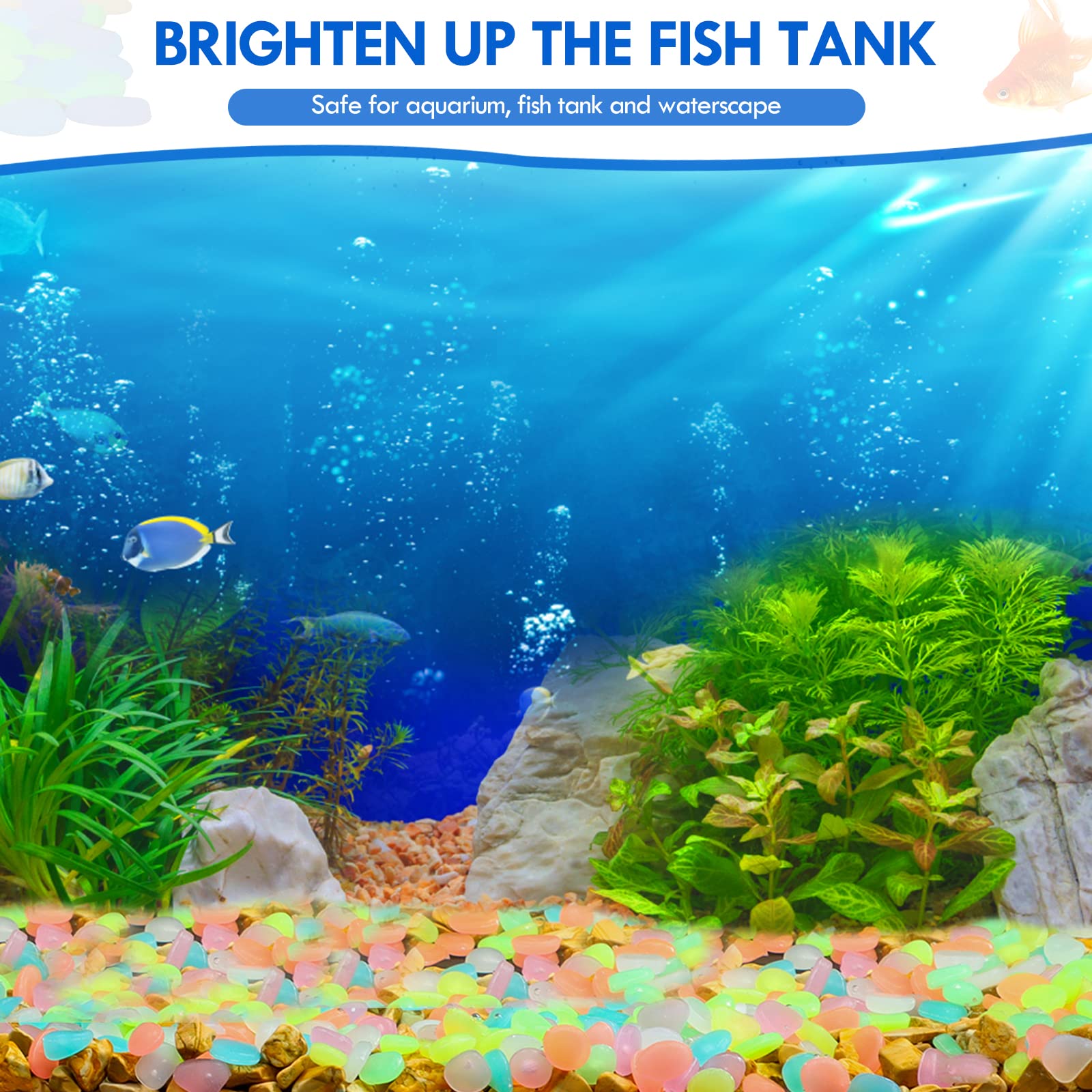 100 buah kerikil taman menyala - Aquarium Fish Saltwater ulasan dan harga