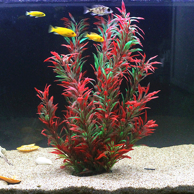 50CM Kolam Ikan Buatan Tanaman - Aquarium Fish Saltwater ulasan dan harga