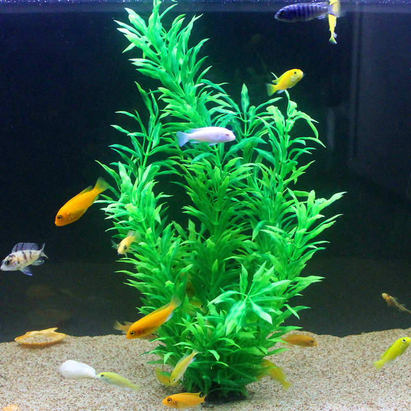 50CM Kolam Ikan Buatan Tanaman - Aquarium Fish Saltwater ulasan dan harga