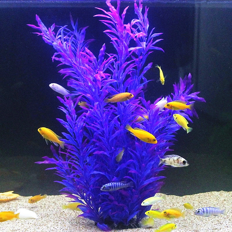 50CM Kolam Ikan Buatan Tanaman - Aquarium Fish Saltwater ulasan dan harga