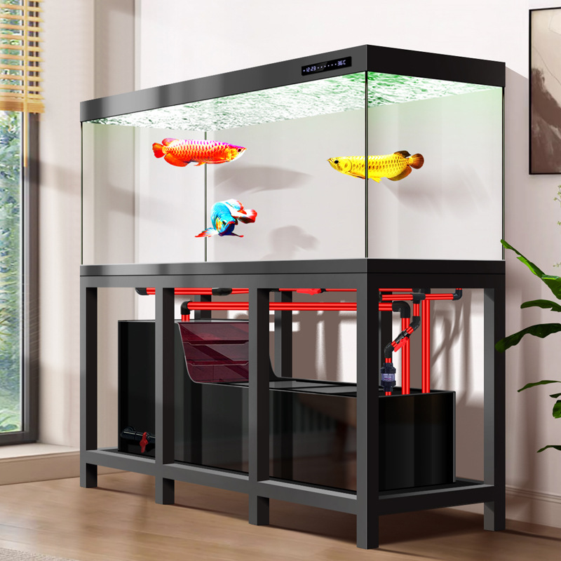 Akuarium Arowana Industri Besa - Aquarium Fish Low Maintenance ulasan dan harga