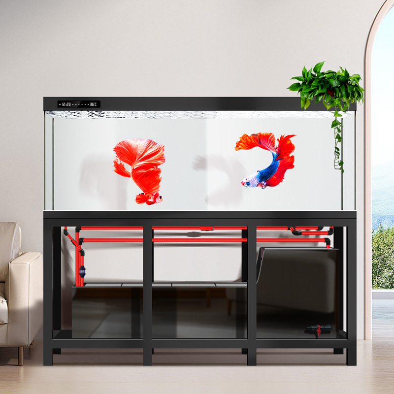 Akuarium Arowana Industri Besa - Aquarium Fish Low Maintenance ulasan dan harga