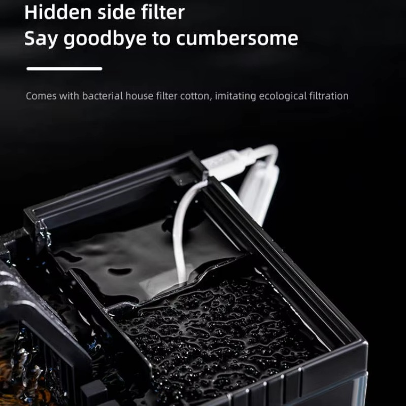 Akuarium Gaya Amerika Selatan  - Aquarium Fish Low Maintenance ulasan dan harga