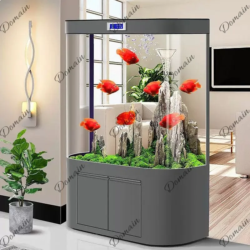 Akuarium B80 Ukuran Besar untu - Aquarium Fish Low Maintenance ulasan dan harga