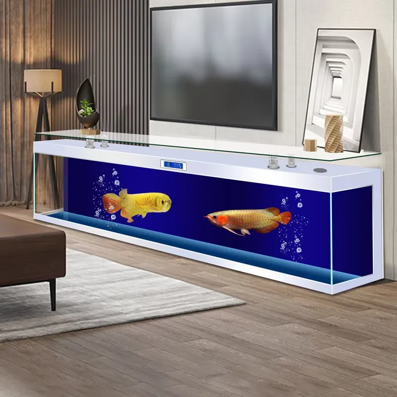 Akuarium Ikan Berbentuk Kotak, - Aquarium Fish Low Maintenance ulasan dan harga