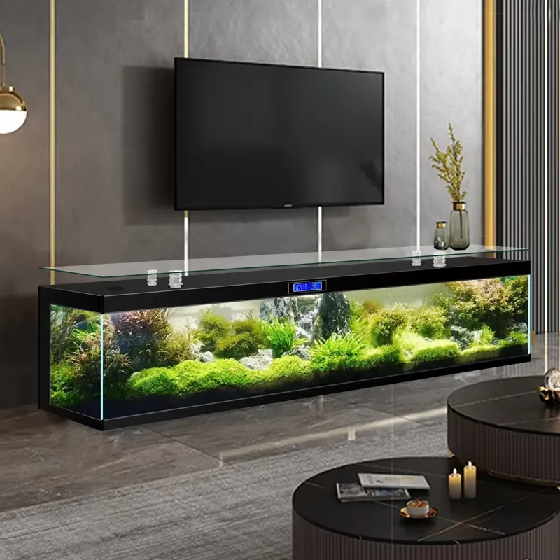 Akuarium Ikan Berbentuk Kotak, - Aquarium Fish Low Maintenance ulasan dan harga
